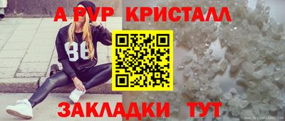стафф Краснознаменск